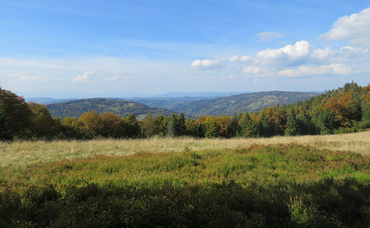 Panorama północno-zachodnia z Hali Kamińskiego w kierunku doliny Koszarawy. Panorama północno-zachodnia z Hali Kamińskiego w kierunku doliny Koszarawy.