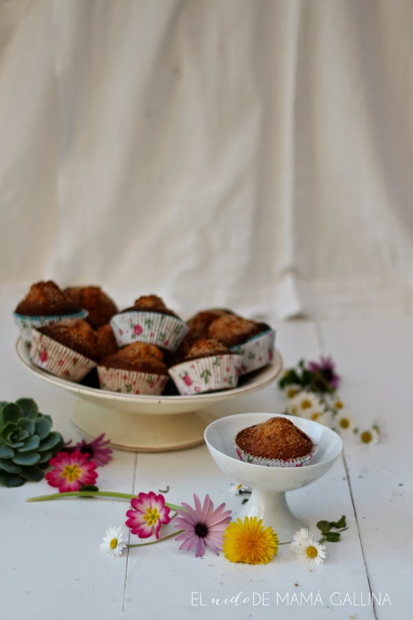 oats and brown sugar muffins