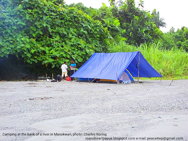 Camping in the forest of West Papua Rainforest birding tour in Manokwari