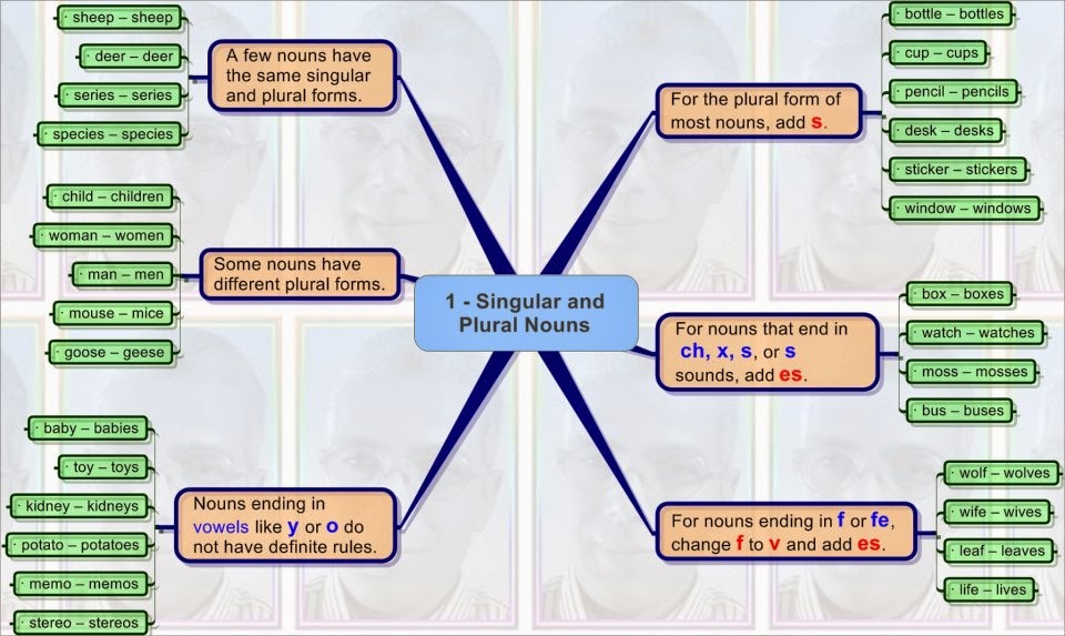 English Honori Garcia: Singular and Plural Nouns