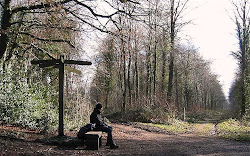 The South Downs Way - Gumber Corner (Belloc's favourite)