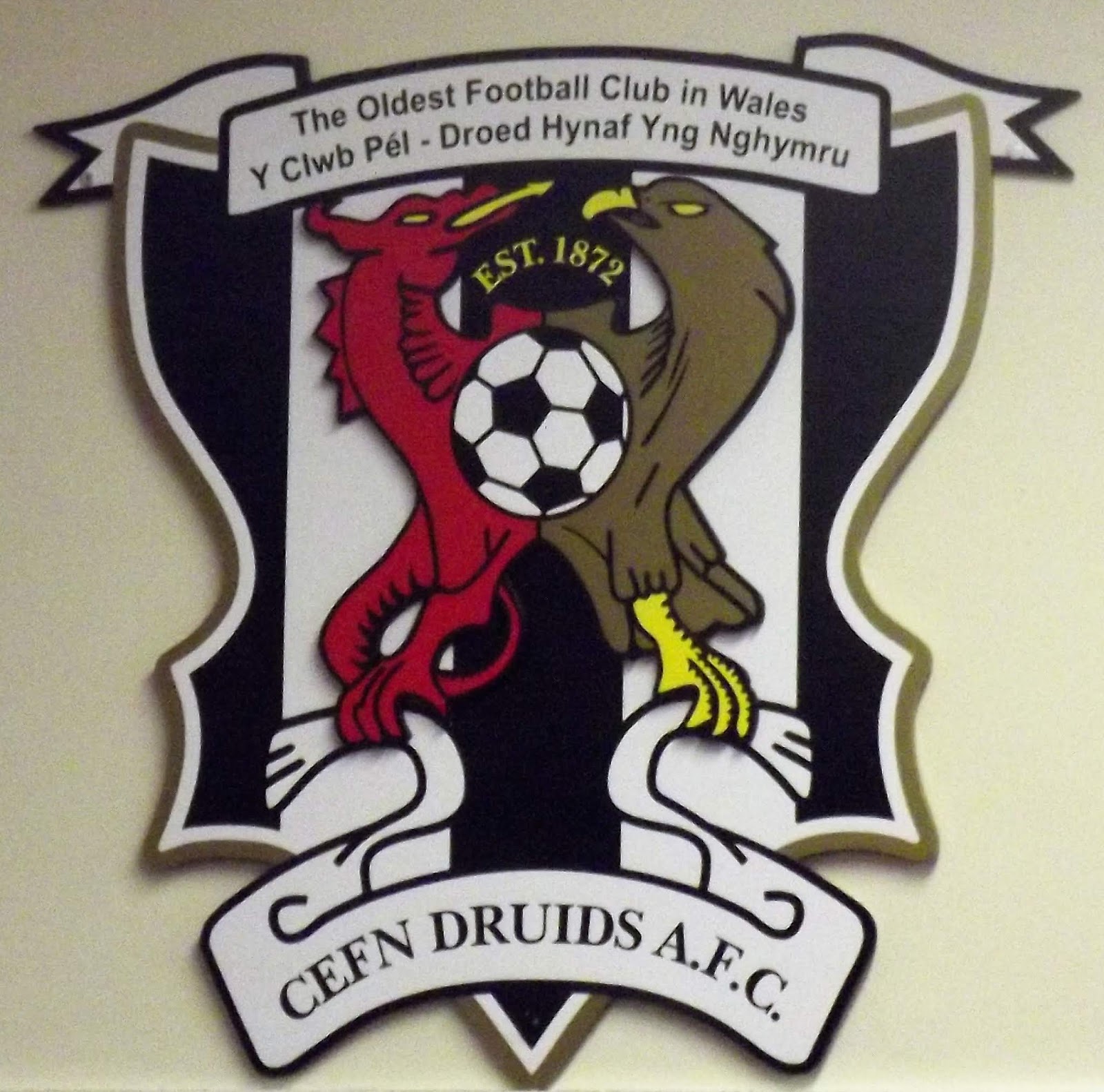 The Wanderer Cefn Druids The Rock