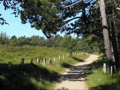 Dünenglände St. Peter-Dorf