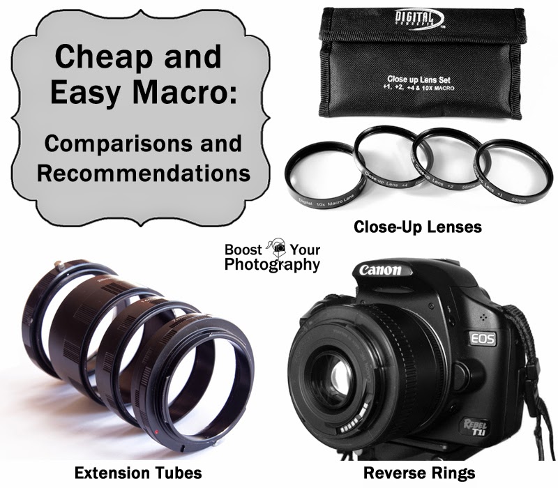 Cheap and Easy Macro: Comparisons and Recommendations | Boost Your Photography