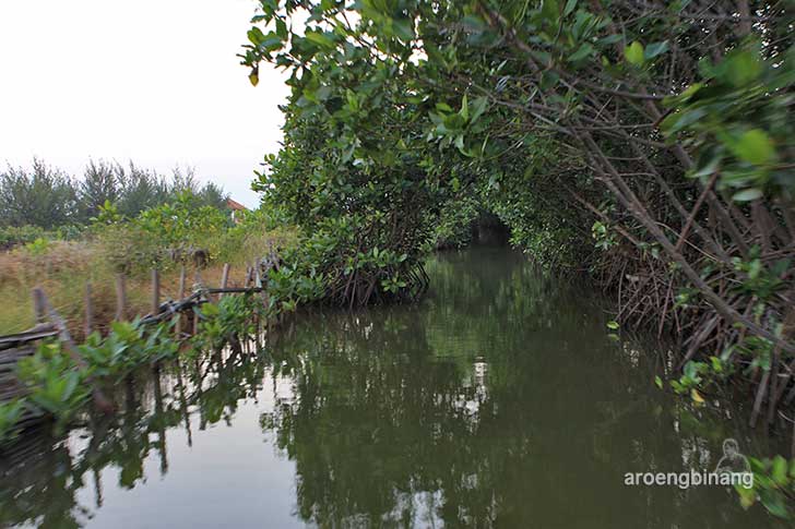 pekalongan mangrove park