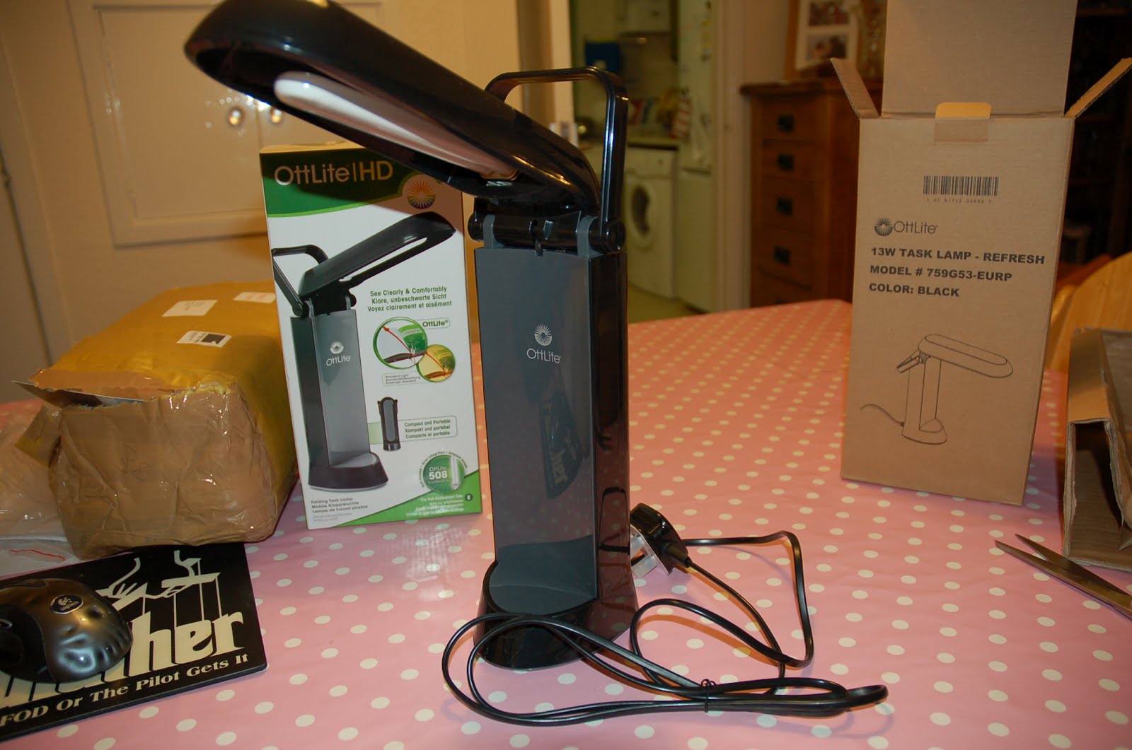 Review OttLite Task Lamp Tale of Painters