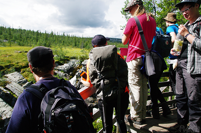 Hiking on Storhågna, Sweden. Photo by Alicia Sivertsson.
