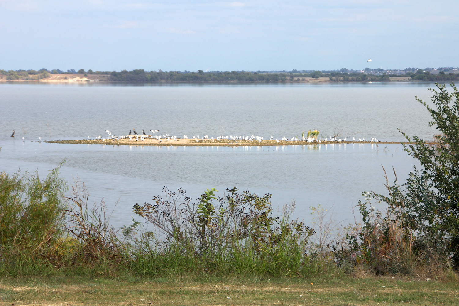 Log of Ibi Lake Ellsworth, OK