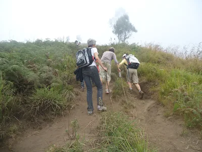 Pendakian selanjutnya menuju Plawangan Sembalun ketinggian 2600 meter ke lereng kawah Gunung Rinjani