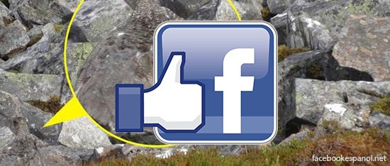 juegos visuales del Facebook