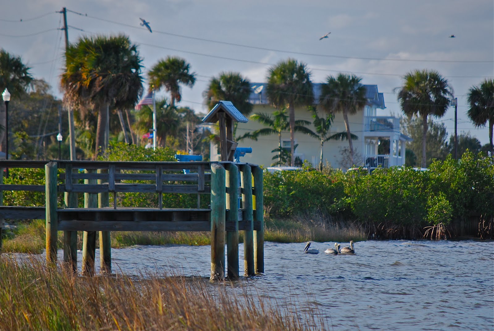BLUE SKY AHEAD The Sebastian Riverview Park