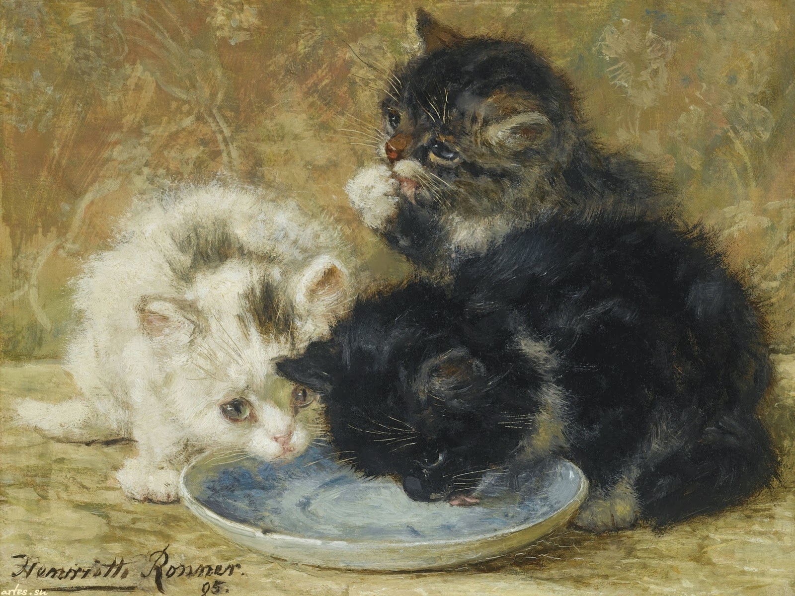 Жанр картинки, кот