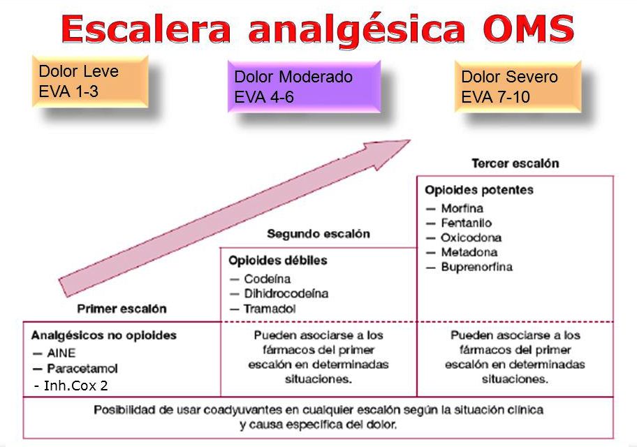 Enfermer a virtual argentina