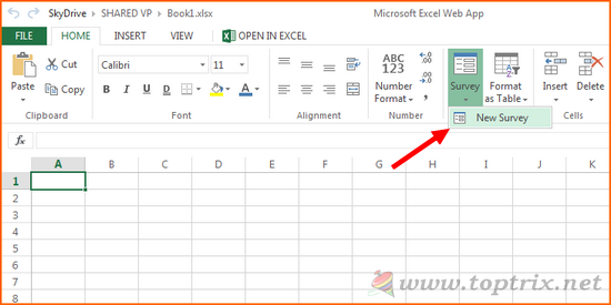 excel-survey