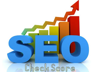 Cara Cek Kualitas SEO Sebuah Website atau Blog cara cek skor seo website