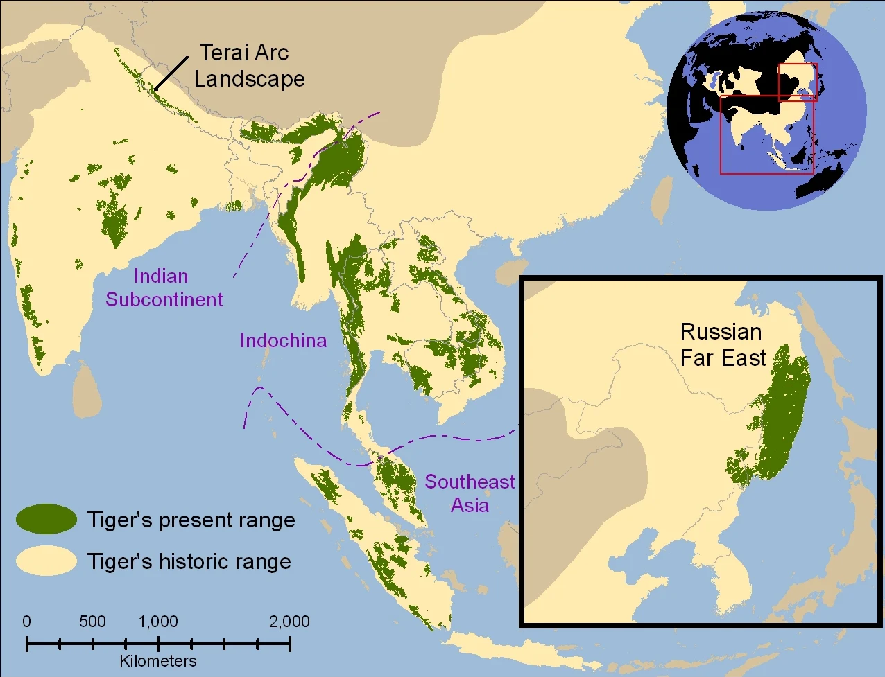Historical range of tiger (1850) vs the current range (2006) of tiger
