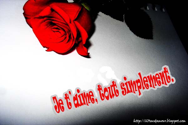 Mon Amour En Italien Pour Une Femme Phrase d'amour je t'aime ma femme - message et mots d'amour