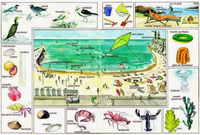 http://4.bp.blogspot.com/-ZOpsVevzx7k/U7LsuZ2emCI/AAAAAAAAAPc/VW-IAcx-UTg/s1600/1c70b3d467bf4eb14e89dac959bfb690.jpg