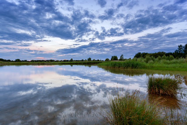 Cambridgeshire nature reserve in the evening light at sunset by Martyn Ferry Photography