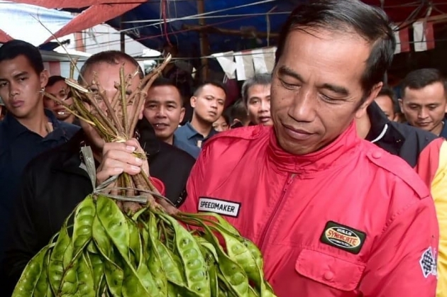 Harga Sawit Turun, Jokowi Minta Petani Tanam Jengkol dan Petai Harga Sawit Turun, Jokowi Minta Petani Tanam Jengkol dan Petai