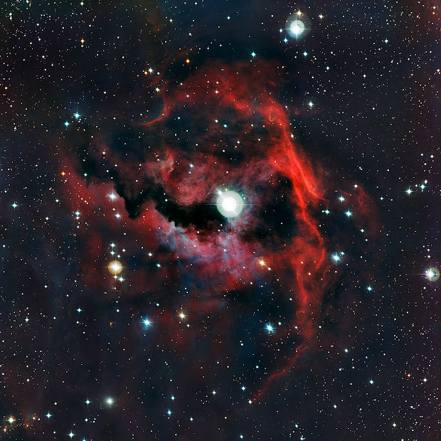 Sh 2-292, the Seagull Nebula