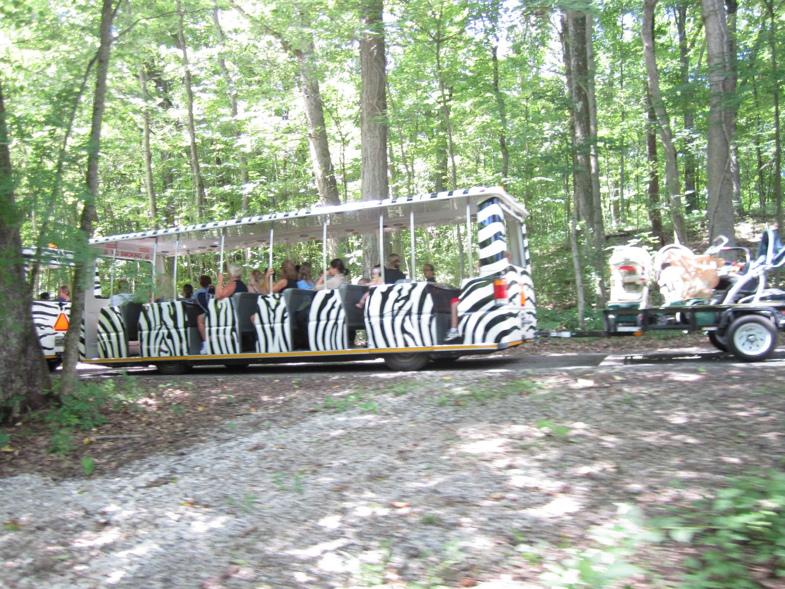 It's Fun 4 Me! Binder Park Zoo Battle Creek, Michigan