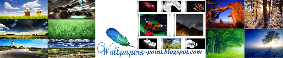 WALLLPAPERS POINT