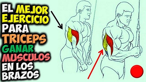 el mejor examen para rebajar los brazos