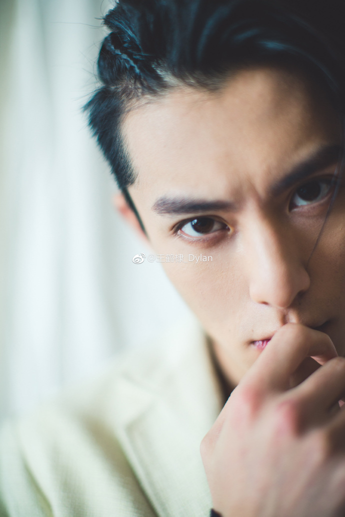 What Weibo fan-based awards has the Chinese actor Dylan Wang