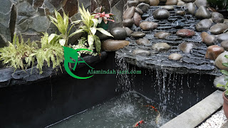 TUKANG KOLAM KOI JAKARTA TUKANG KOLAM KOI JABODETABEK