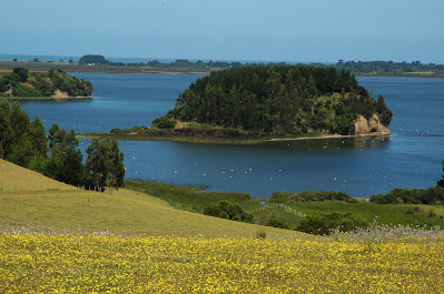 Lago Budi  (Budi Lake), South Chile.