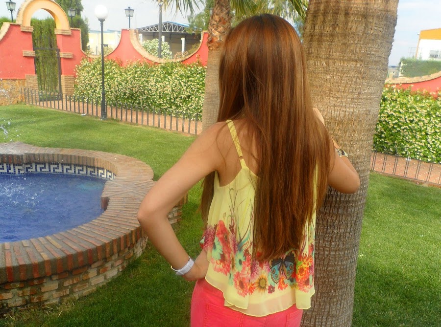 BUTTERFLIES & FLOWERS