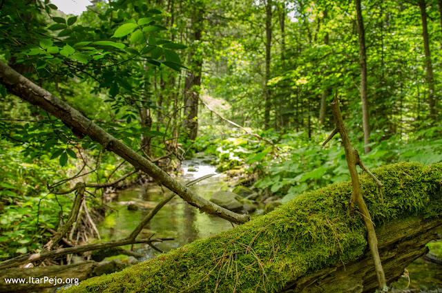 Gradeshka River, Mariovo Region, Novaci Municipality, Macedonia