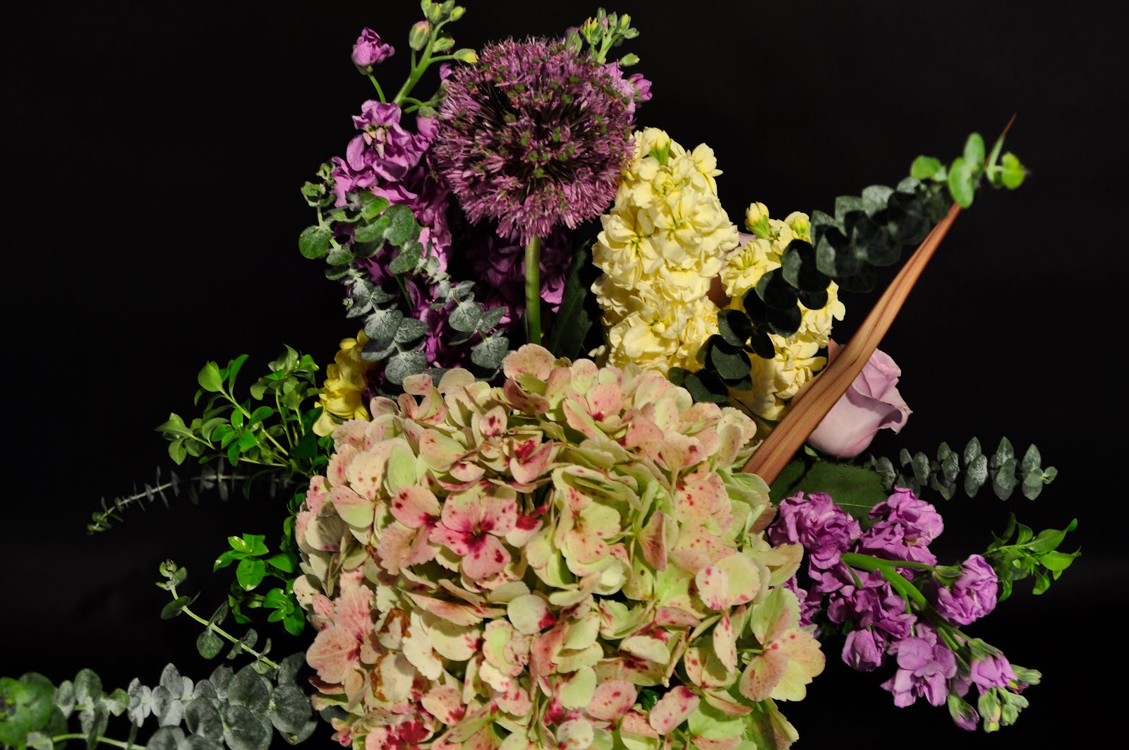 The Twisted Tulip Blog Denver's Premier Florist