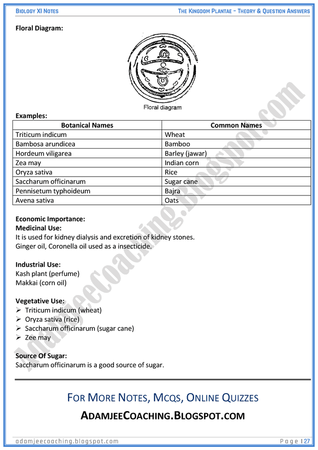 kingdom-plantae-descriptive-question-answers-biology-11th