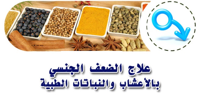 مجر ب للزوجين بديل طبيعي للفياجرا قوي 100 اثبت مفعوله في علاج سرعة القذف والضعف الجنسي مدونة أبو ندى