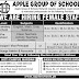 Apple Group Of Schools Mardan Jobs