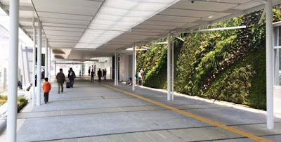一つ生態系が生まれる？パトリック・ブランの美しい壁面緑化【nat】　新山口駅の緑の壁