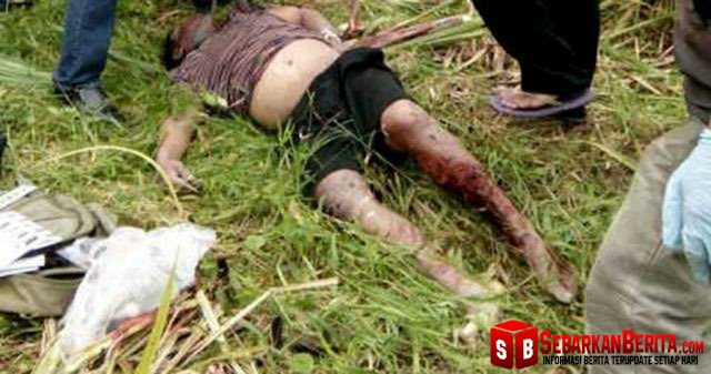 Sadis , Mata dan Mulut Dilakban, Tangan Diikat, Korban Pembunuhan Ini Dibuang ke Kebun Tebu PTPN II, Desa Bulu Cina, Kecamatan Hamparan Perak.