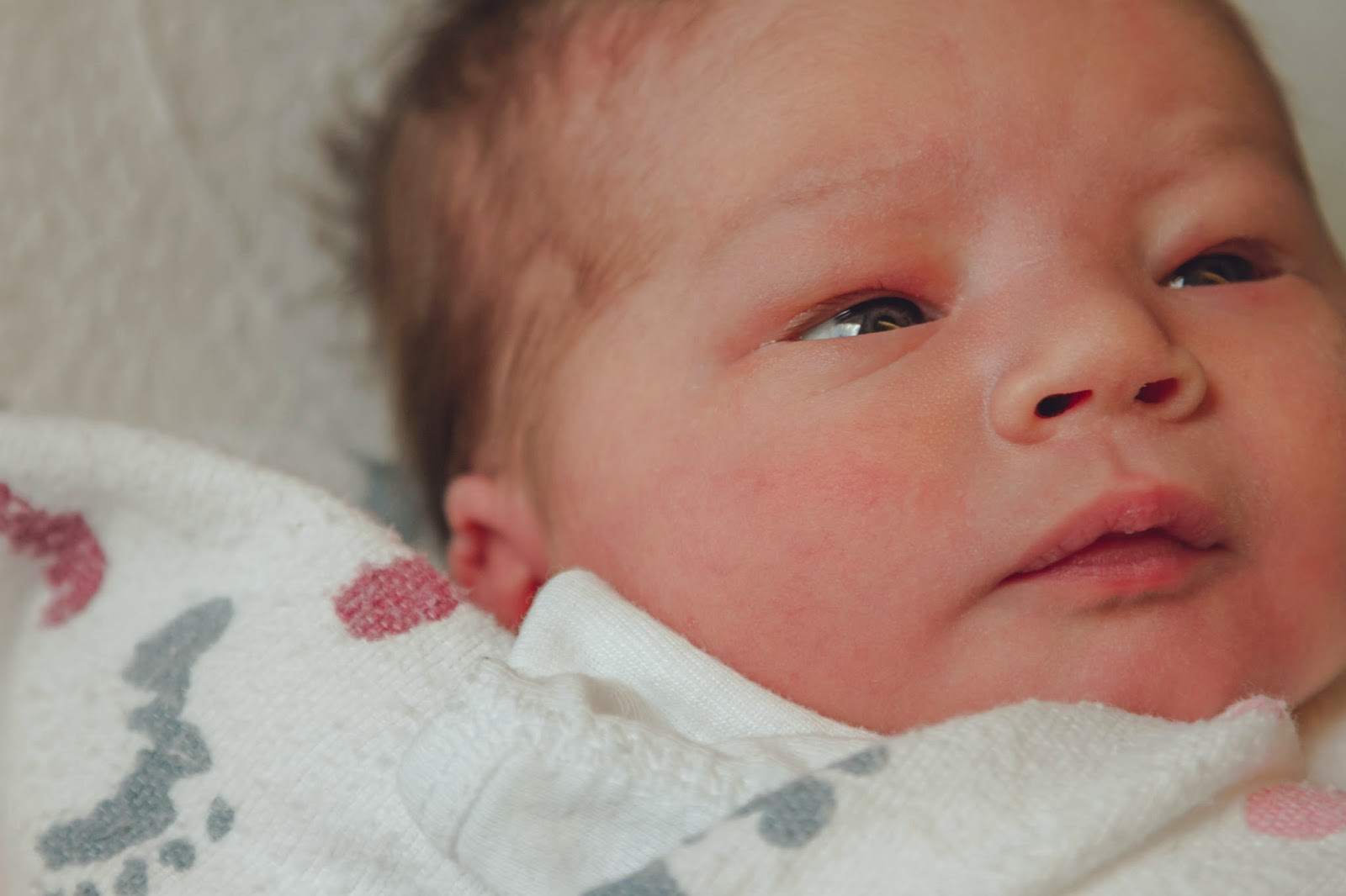 ihpoc Photography In Hot Pursuit of Color Newborn Baby Hospital