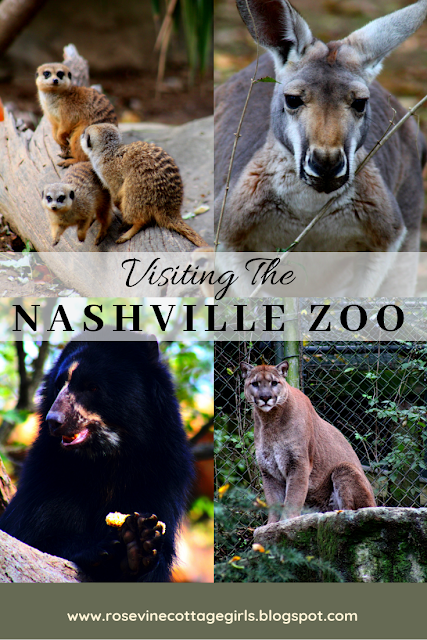 Visiting the Nashville Zoo, Nashville Zoo, Tennessee Zoo in Nashville, Nashville Zoo at Grassmere Travel Tennessee by Rosevine Cottage Girls