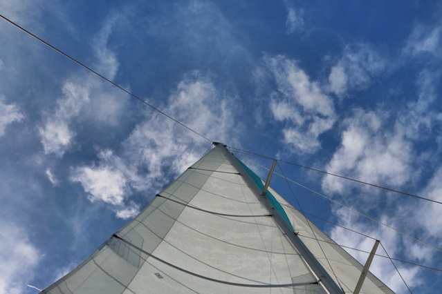 Un gran gust la navegació en el catamarà