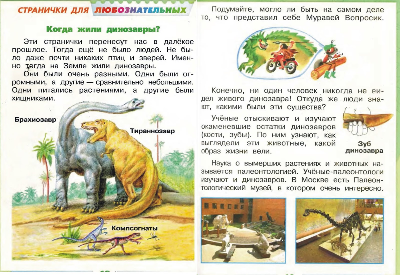 Когда жили динозавры 1 класс рабочий лист. Когда жили динозавры. Динозавры для любознательных. Рассказ когда жили динозавры. Когда жили динозавры 1 класс окружающий мир.