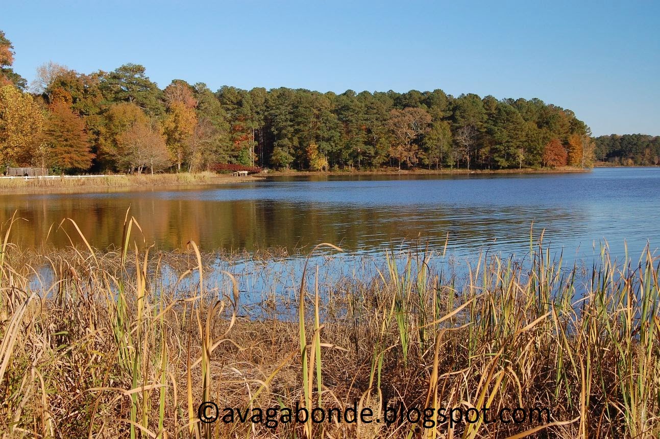 Recollections of a Vagabonde Strolling along Lake Acworth
