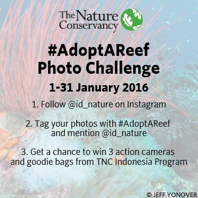 Kontes Foto Adopt A Reef Berhadiah 3 Action Camera