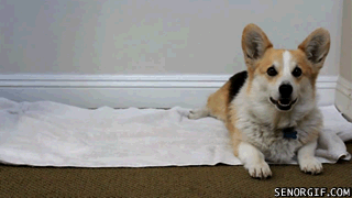 Wrap Up