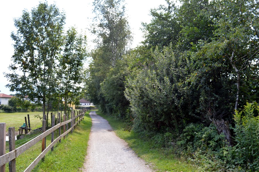 Lungo la pista ciclabile della Drava pedalando tra i laghi della