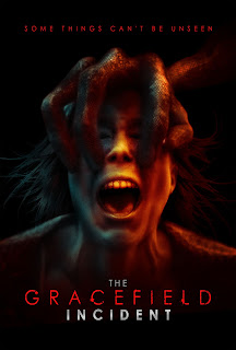 The Gracefield Incident (2017)
