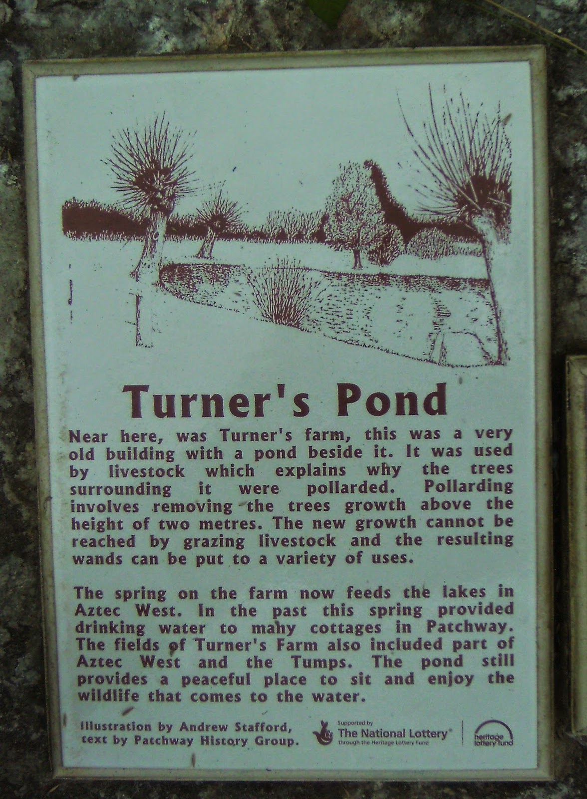 Hempton and Patchway Project Turner's Pond