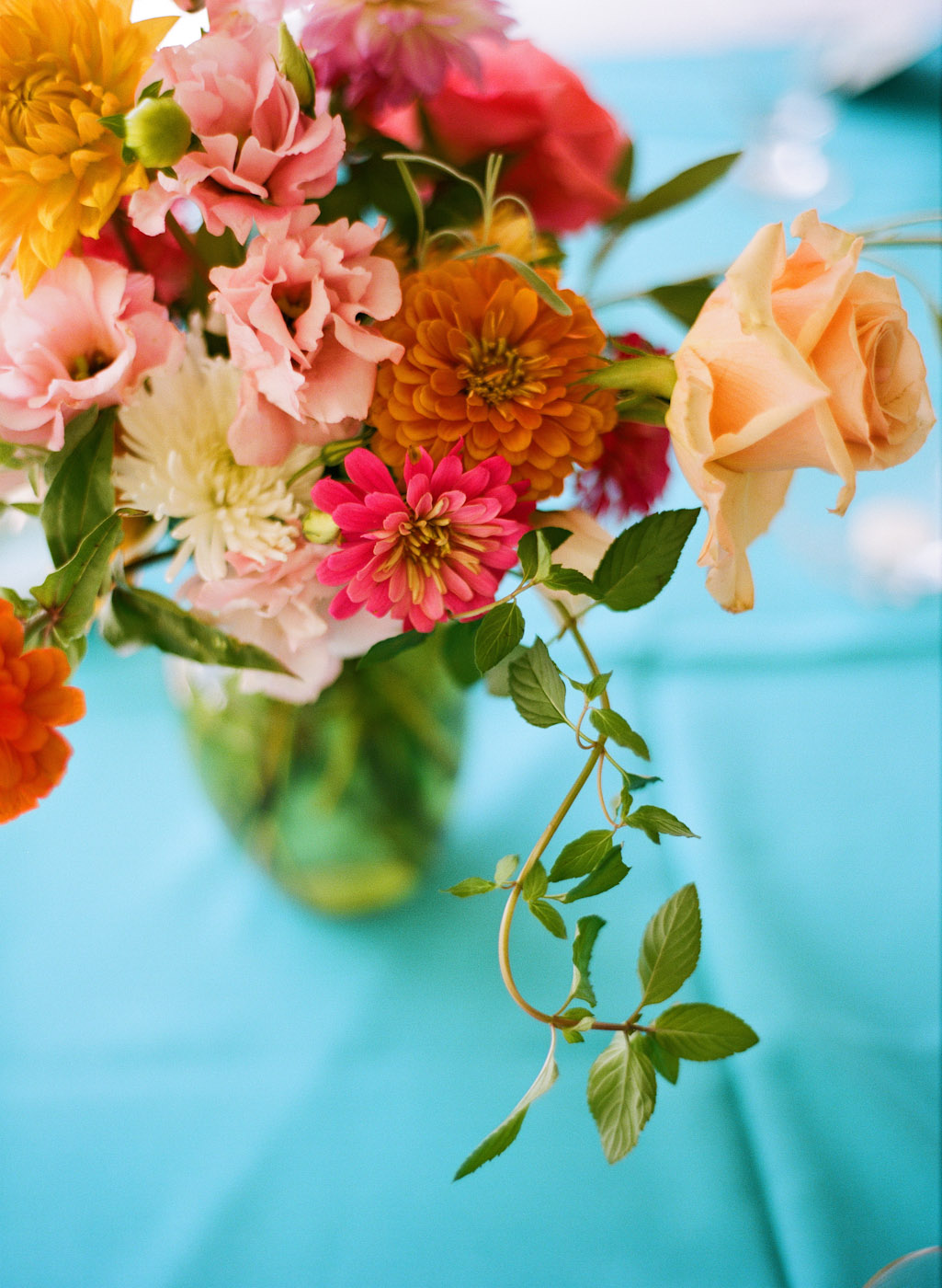 Why Are Flowers Brightly Colored Beautiful Insanity